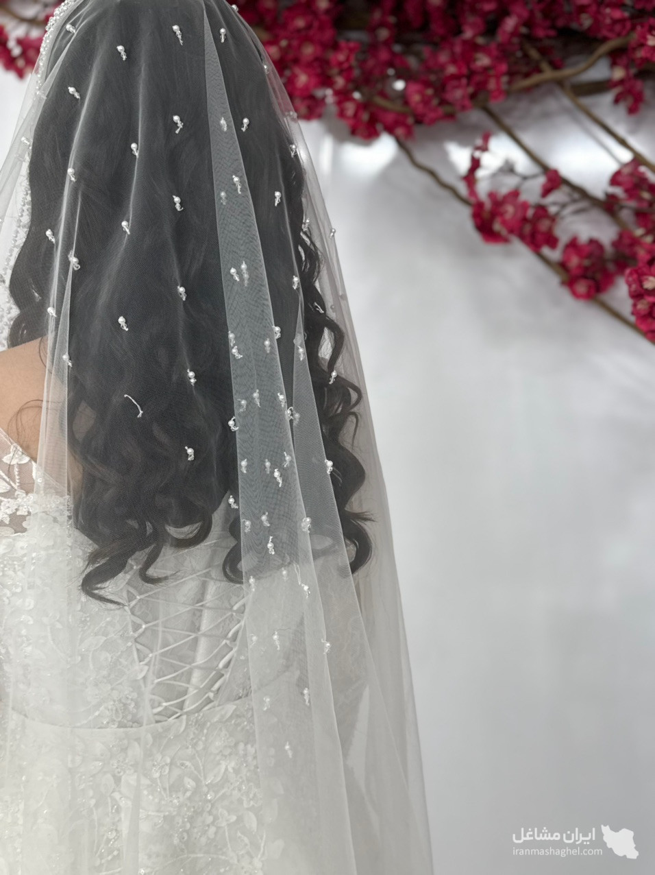 سالن زیبایی ویوا در رضانژاد جنوبی تبریز